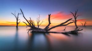 Photo tip of the week: What ND filter?